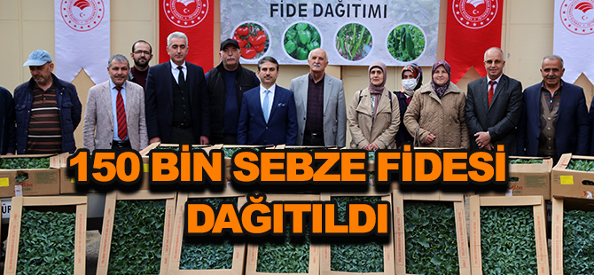 150 BİN SEBZE FİDESİ DAĞITILDI