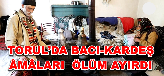 TORUL’DA BACI-KARDEŞ ÂMÂLARI  ÖLÜM AYIRDI