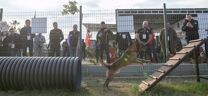 KÜRTÜN MESLEK YÜKSEKOKULU  KÖPEKLİ ARAMA KURTARMA ÇALIŞTAYINA KATILDI