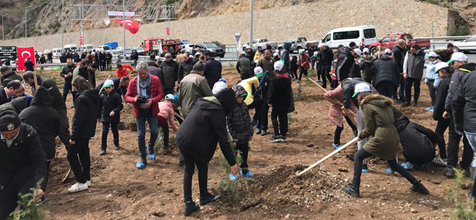 ZİGANA’DA DEPREM ŞEHİTLERİ ORMANI