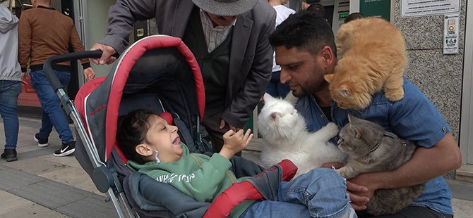 PAKİSTANLI MÜHENDİSİN KEDİLERLE DOSTLUĞU GÜMÜŞHANE’DE İLGİ ÇEKİYOR