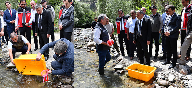 GÜMÜŞHANE’DE DERELERE ALABALIK SALINDI