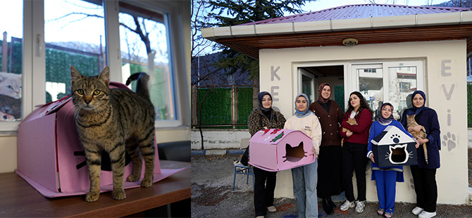 GÜMÜŞHANE'DE ÖĞRENCİ YURDUNUN GÜVENLİK KULÜBESİ KEDİLERE YURT OLDU