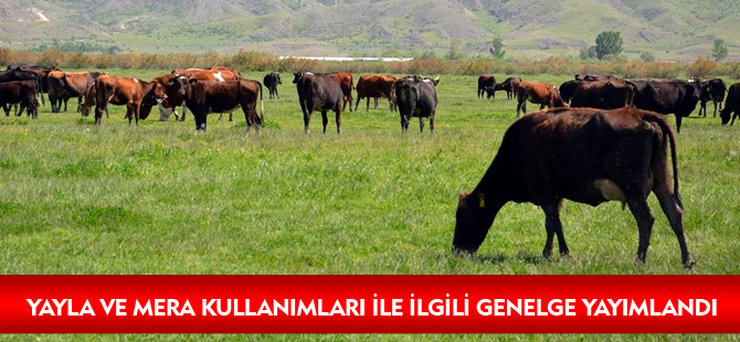 YAYLA VE MERA KULLANIMLARI İLE İLGİLİ GENELGE YAYIMLANDI