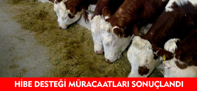 HİBE DESTEĞİ MÜRACAATLARI SONUÇLANDI