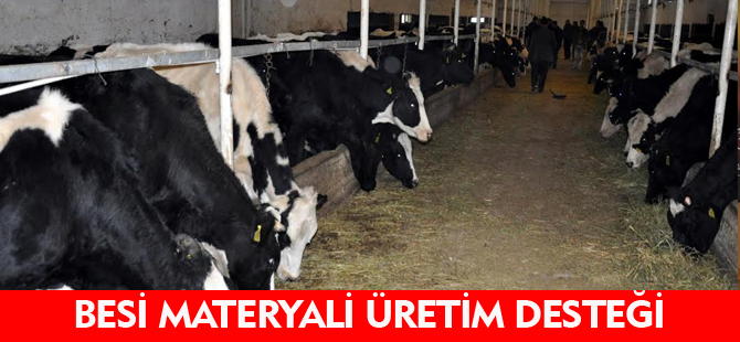 BESİ MATERYALİ ÜRETİM DESTEĞİ