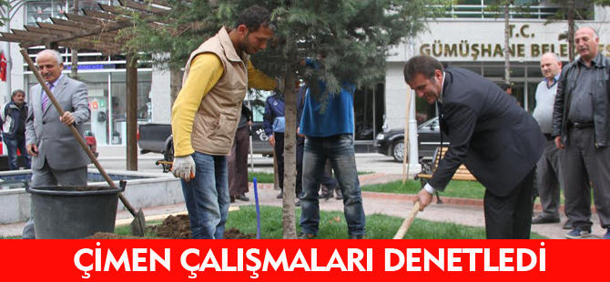 ÇİMEN ÇALIŞMALARI DENETLEDİ