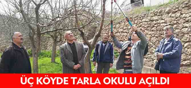 ÜÇ KÖYDE TARLA OKULU AÇILDI