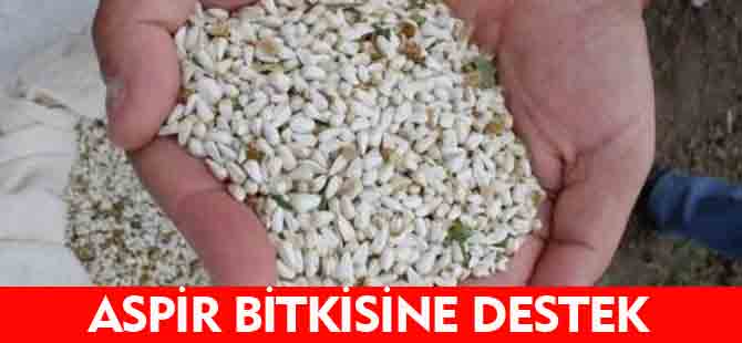 ASPİR BİTKİSİNE DESTEK