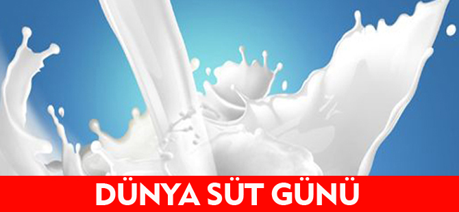 DÜNYA SÜT GÜNÜ