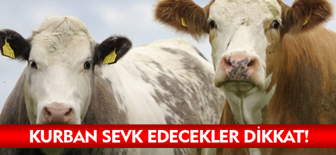 KURBAN SEVK EDECEKLER DİKKAT