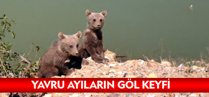 YAVRU AYILARIN GÖL KEYFİ