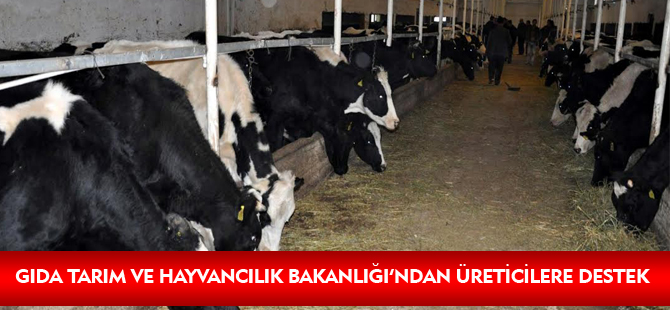 GIDA TARIM VE HAYVANCILIK BAKANLIĞI’NDAN ÜRETİCİLERE DESTEK