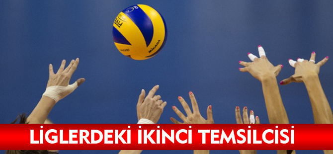 LİGLERDEKİ İKİNCİ TEMSİLCİ