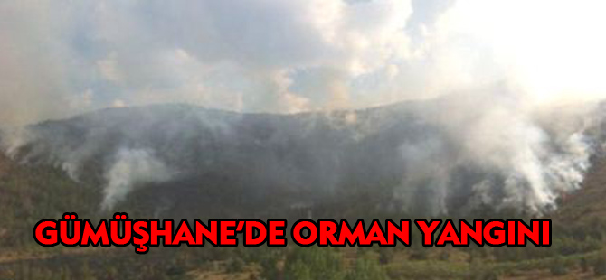 GÜMÜŞHANE'DE ORMAN YANGINI