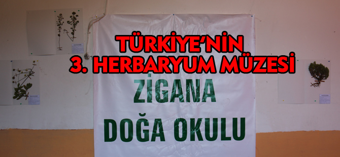 TÜRKİYE'NİN 3. HERBARYUM MÜZESİ ZİGANA'DA AÇILDI