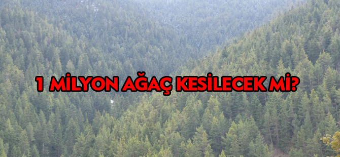 1 MİLYON AĞAÇ KESİLECEK Mİ?