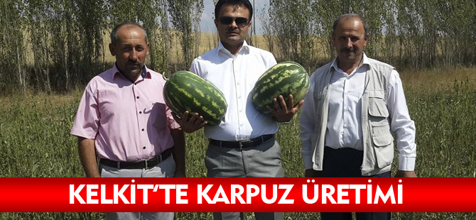 KELKİT'TE KARPUZ ÜRETİMİ