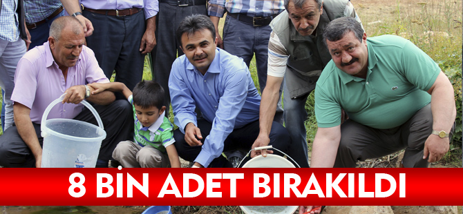 8 BİN ADET BIRAKILDI