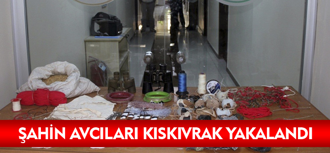 ŞAHİN AVCILARI KISKIVRAK YAKALANDI