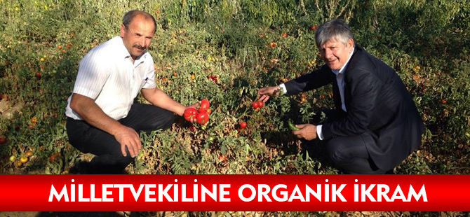 MİLLETVEKİLİNE ORGANİK İKRAM