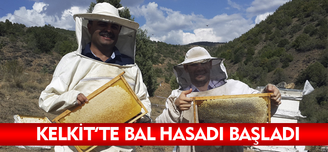 KELKİT'TE BAL HASADI BAŞLADI