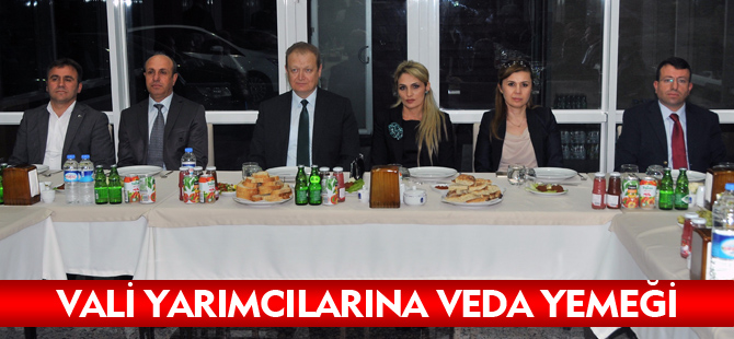 VALİ YARDIMCILARINA VEDA YEMEĞİ