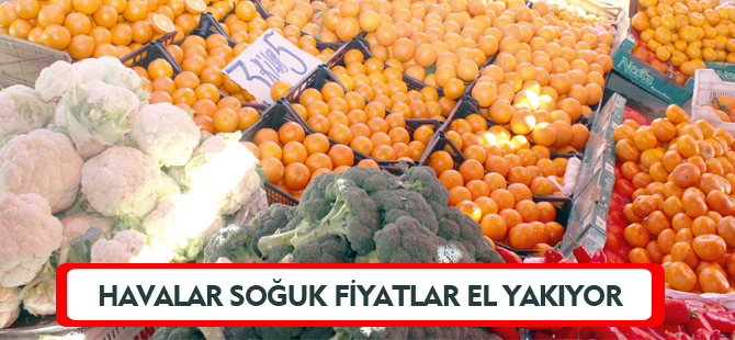 HAVALAR SOĞUK FİYATLAR EL YAKIYOR