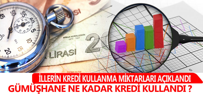 Gümüşhane NE KADAR KREDİ KULLANDI ?