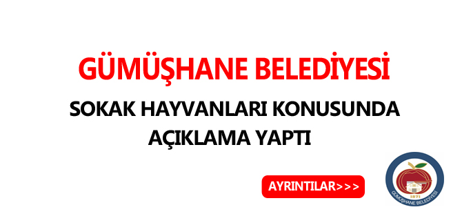 GÜMÜŞHANE BELEDİYESİ SOKAK HAYVANLARI KONUSUNDA AÇIKLAMA YAPTI