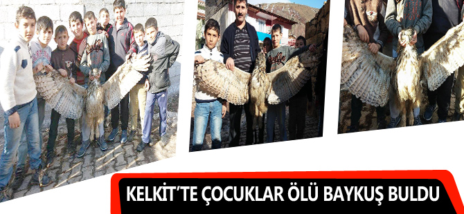 KELKİT’TE ÇOCUKLAR ÖLÜ BAYKUŞ BULDU