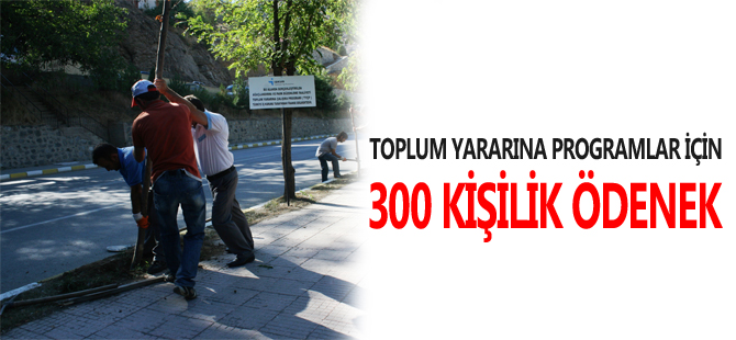 TOPLUM YARARINA PROGRAMLAR İÇİN 300 KİŞİLİK ÖDENEK