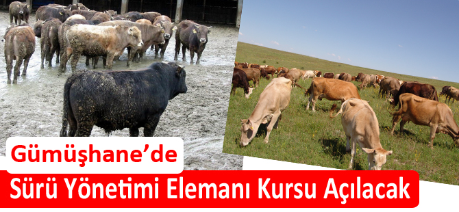 Sürü Yönetimi Elemanı Kursu Açılacak