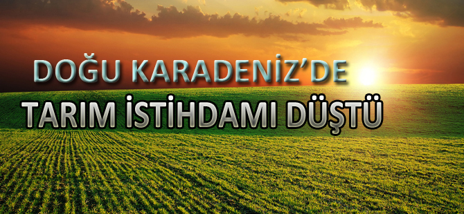 DOĞU KARADENİZ’DE TARIM İSTİHDAMI DÜŞTÜ