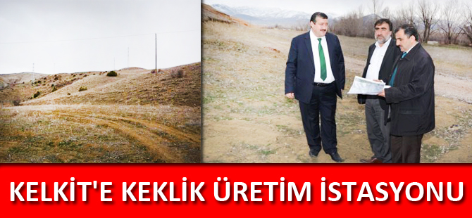 KELKİT'E KEKLİK ÜRETİM İSTASYONU