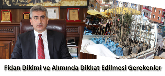 Fidan Dikimi ve Alımında Dikkat Edilmesi Gerekenler