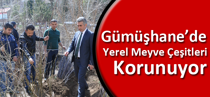 Gümüşhane’de Yerel Meyve Çeşitleri Korunuyor