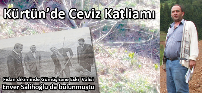 KÜRTÜN’DE CEVİZ KATLİAMI