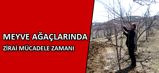 MEYVE AĞAÇLARINDA ZİRAİ MÜCADELE ZAMANI