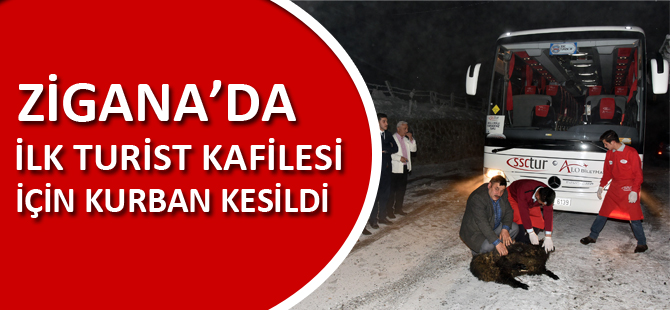 ZİGANA’DA İLK TURİST KAFİLESİ İÇİN KURBAN KESİLDİ