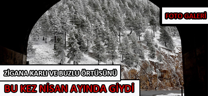 ZİGANA KARLI VE BUZLU ÖRTÜSÜNÜ BU KEZ NİSAN AYINDA GİYDİ