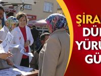 ŞİRAN'DA DÜNYA YÜRÜYÜŞ GÜNÜ