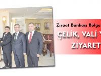 ZİRAAT BANKASI BÖLGE KOORDİNATÖRÜ ÇELİK, VALİ YAVUZ’U ZİYARET ETTİ