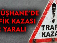 GÜMÜŞHANE'DE TRAFİK KAZASI: 2 YARALI