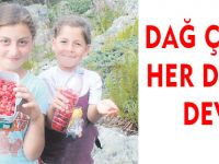 DAĞ ÇİLEĞİ HER DERDE DEVA