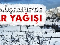 GÜMÜŞHANE’DE KAR YAĞIŞI