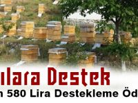 Arıcılara Destek