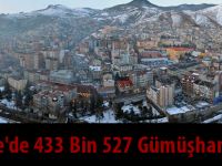 Türkiye'de 433 Bin 527 Gümüşhaneli Var