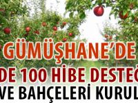 GÜMÜŞHANE’DE YÜZDE 100 HİBE DESTEĞİ İLE MEYVE BAHÇELERİ KURULACAK