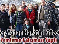 Gençler, Yaban Hayatını Gözetleyip Yemleme Çalışması Yaptı